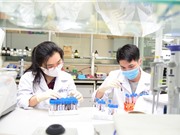 USTH: Tân sinh viên có cơ hội nhận học bổng hơn nửa tỷ đồng